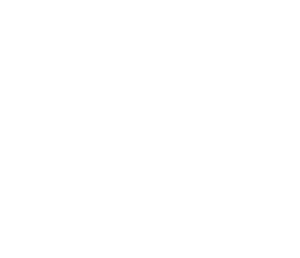 Portillo's