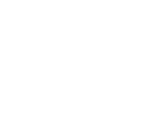 The Tile Shop