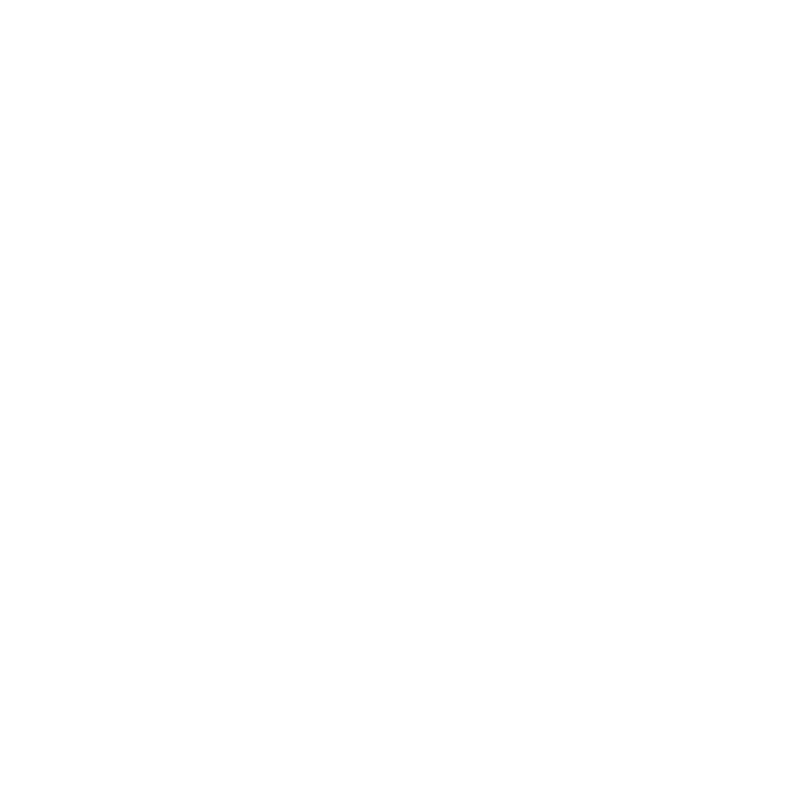 A black and white logo of food lion.